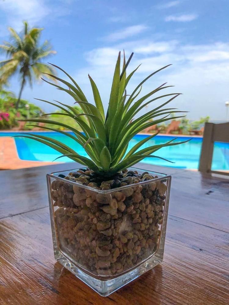 Hotel Mont Joli Cap-Haïtien 外观 照片