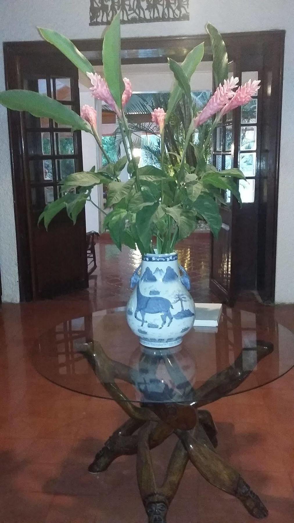 Hotel Mont Joli Cap-Haïtien 外观 照片